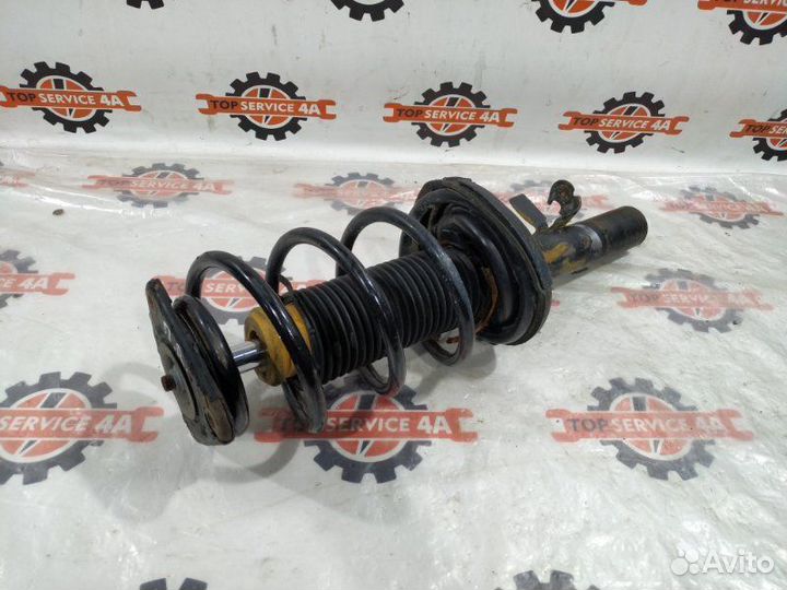 Стойка подвески передняя правая Ford Focus CB8