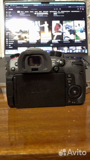 Panasonic lumix gh5s