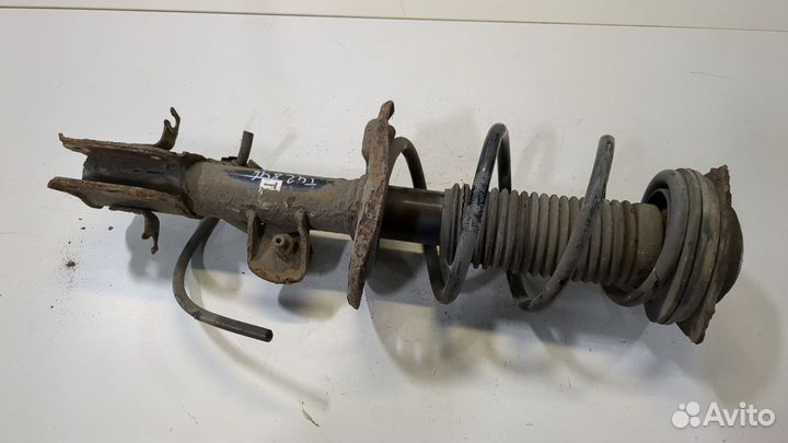 Амортизатор подвески Nissan Juke, 2011