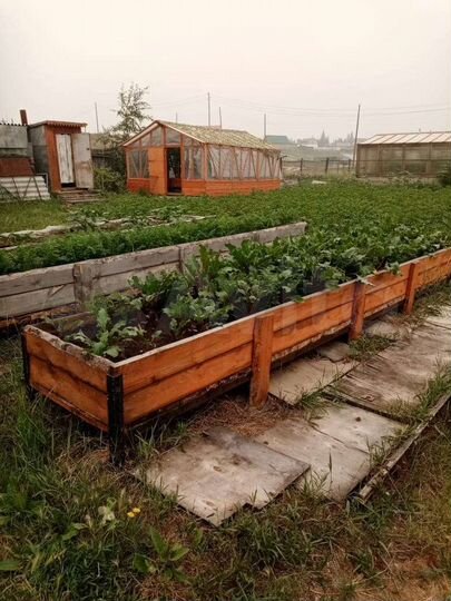 Дом 60,6 м² на участке 22 сот.