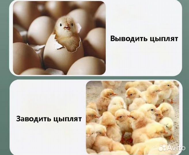 Инкубатор на 20 яиц