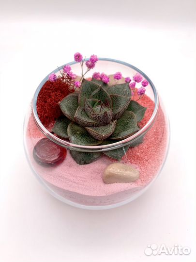 Набор «мой флорариум»