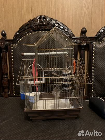 Клетка для птиц с аксесуарами