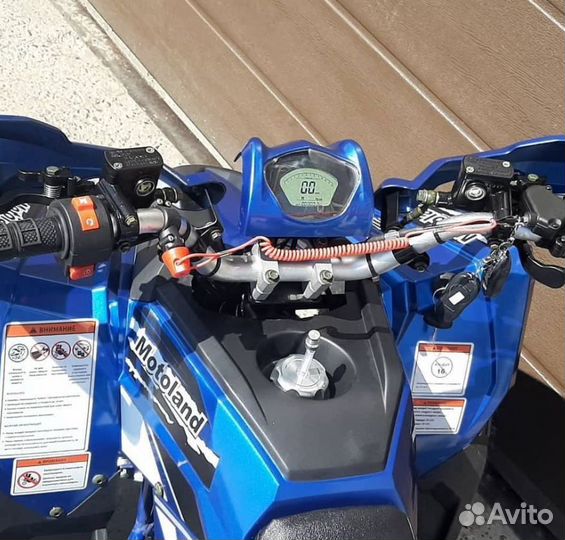 Квадроцикл Motoland coyote 125 синий