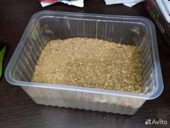 Оптом Аль-кыст Аль-хинди