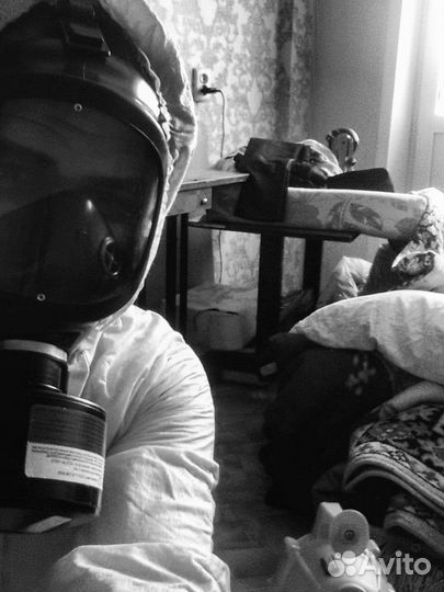 Уничтожение клопов тараканов блох клещей мышей