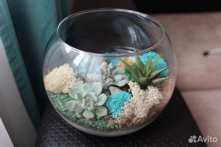 Флорариум, подарки, комнатные цветы