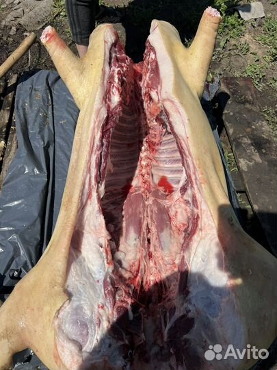 Мясо свинины домашнее