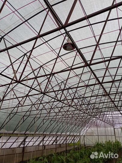 Продам огурцы домашние