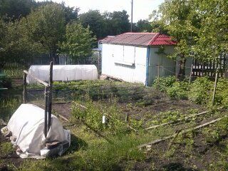 Дача 12 м² на участке 5 сот.