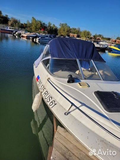 Катер бейлайнер