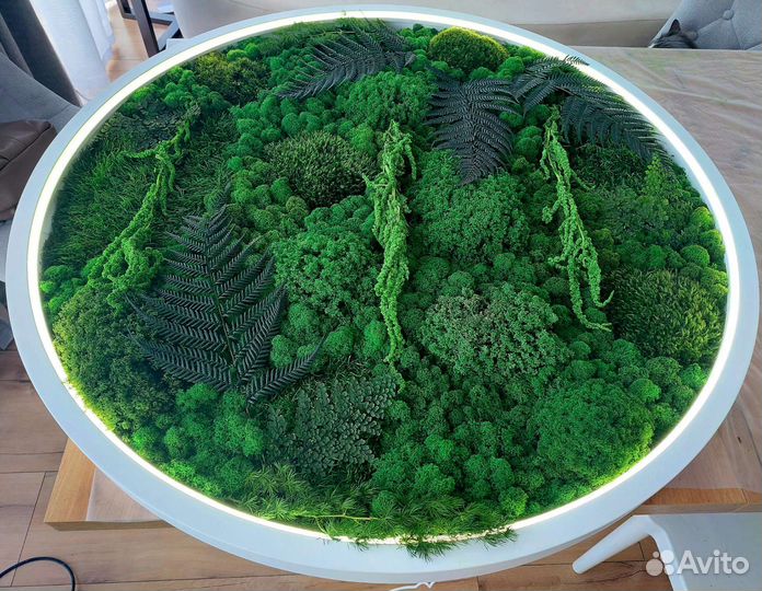 Панно из стабилизированного мха с подсветкой