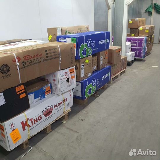 Цветы розы экзотика оптом