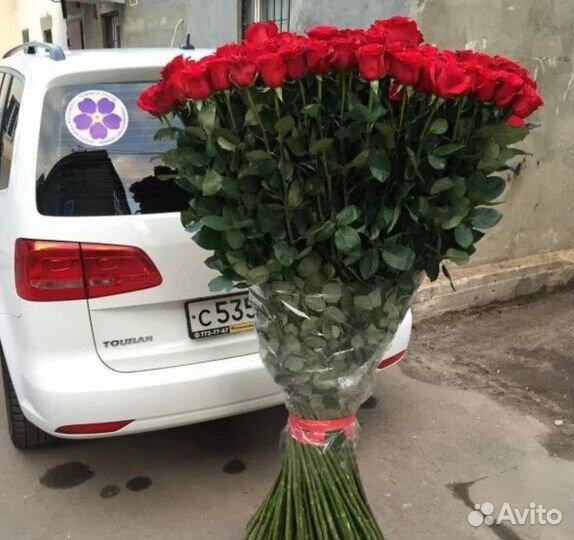 Большие розы Эквадор 51/101/151