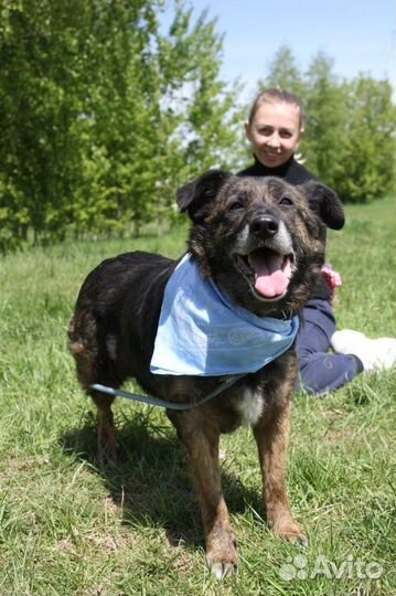 Баллин-красотка ищет дом