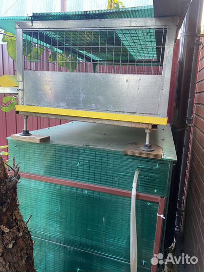 Клетки для кур цыплят перепелов