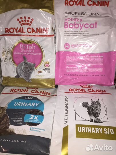 Асортимент Royal Canin корм для кошек и котят