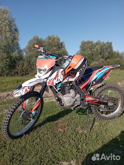 Kayo k1 2022