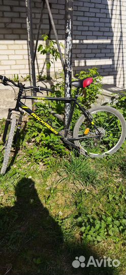 Аренда катамарана, палаток, лодки, велосипеды