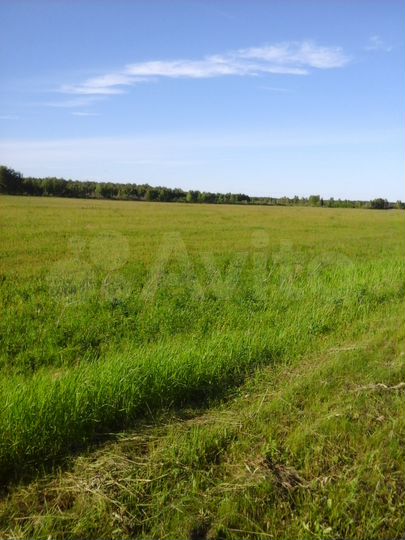 Участок 300 га (СНТ, ДНП)