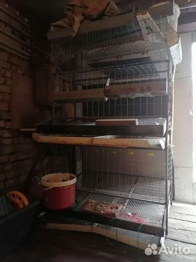 Клетки для кур и перепелов