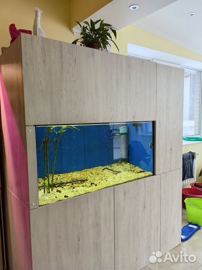 Аквариумная стойка, аквариум, со всем наполнением