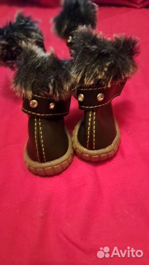 Зимние ботинки для собак мелких пород