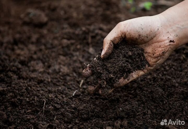 Земля чернозем плодородный грунт