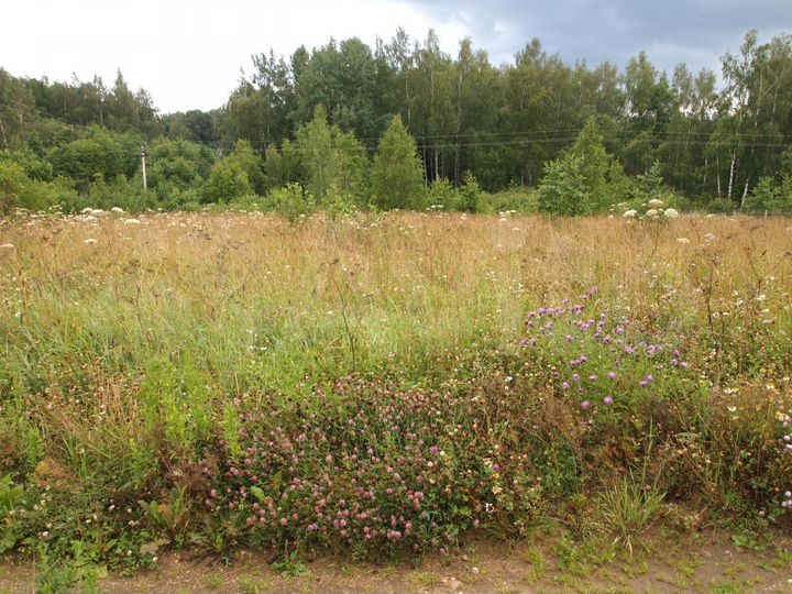 Участок 8,5 сот. (СНТ, ДНП)