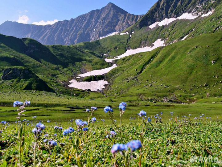 Экскурсия — Самарканд — Тюльпаны И Горы Самарканда