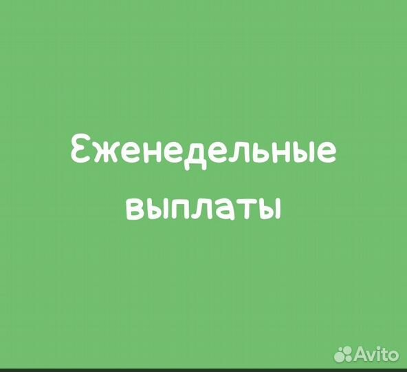 Инвестиции в бизнес. Выплаты еженедельно