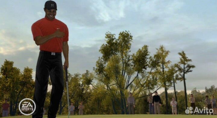 Tiger Woods PGA Tour 08, б/у, английский (DS)