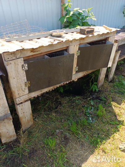 Клетки для кроликов бу