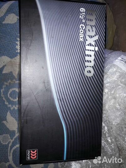 Динамики morel