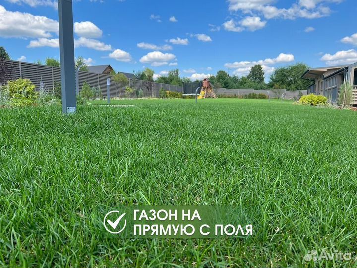 Рулонный газон под ключ