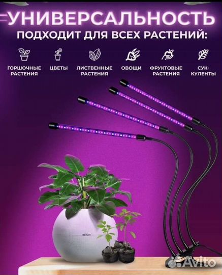 Фитолампа для растений