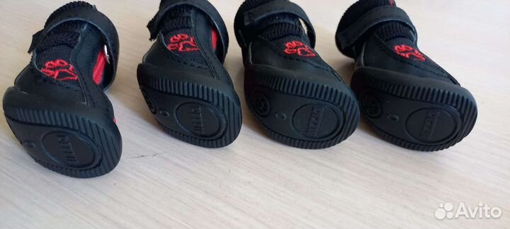 Обувь для маленьких собак