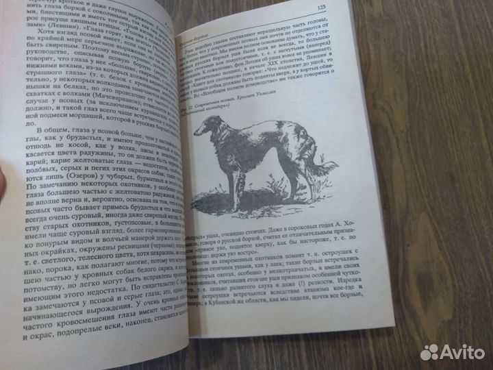 Собаки охотничьи. Сабанеев Л. П. 1992 г