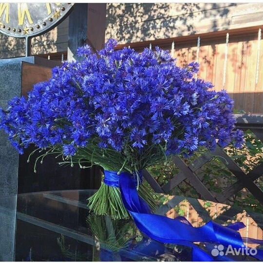 Букет васильков С доставкой