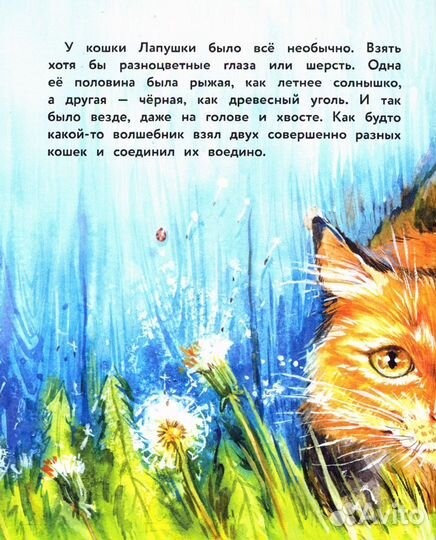 Вместе не страшно