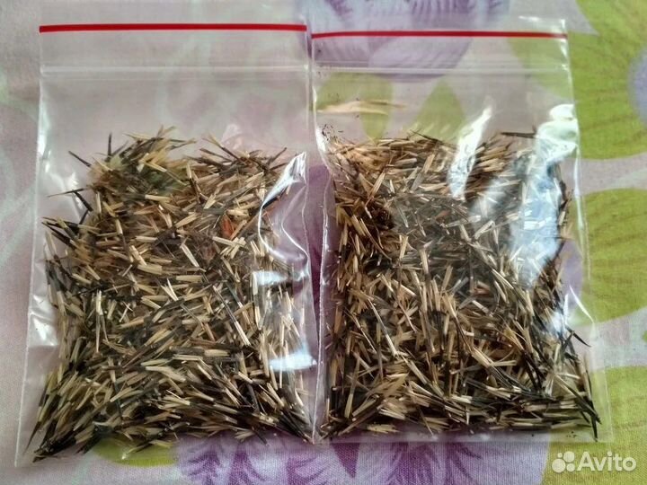 Семена бархатцев