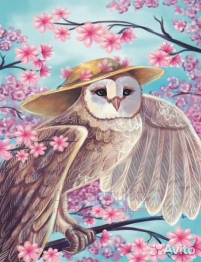 Алмазная мозаика 40x50 Сова в шляпе среди цветущей