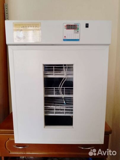 Инкубатор для яиц