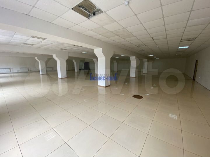 Сдам 550 метров