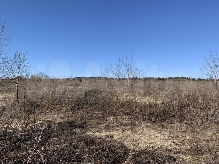 Участок 10 сот. (СНТ, ДНП)