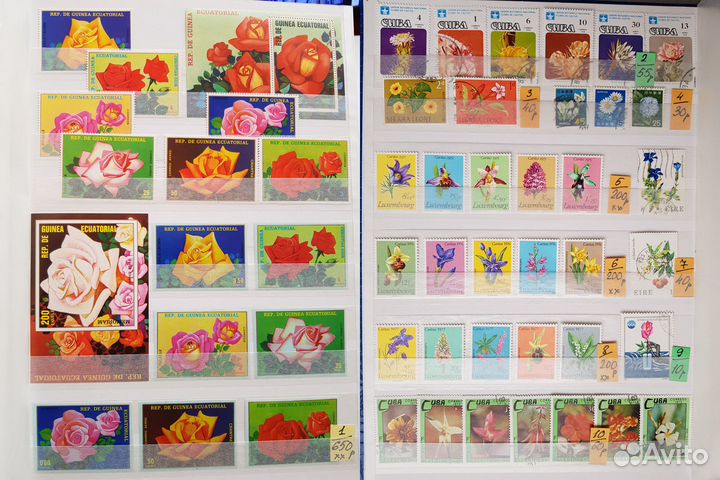 Марки. Флора. Цветы