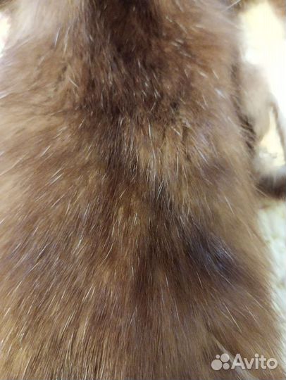 Шкуры соболя