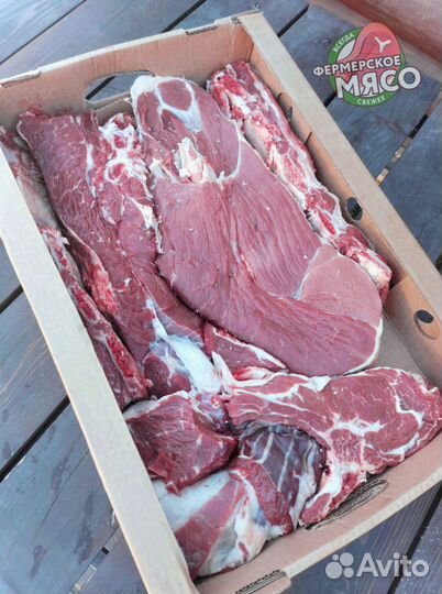 Мясо говядина