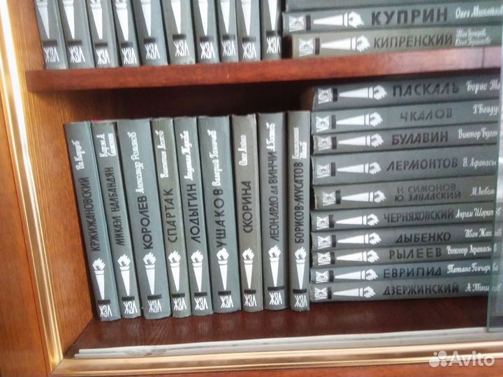 Книги жзл и искусство