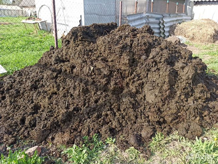 Навоз коровий